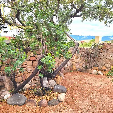 Beau Duplex T3 Rez De Jardin Plage A Pied De St Cyprien *